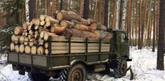 Газа на всех не хватит: украинцам советуют запасаться на зиму дровами - today.ua