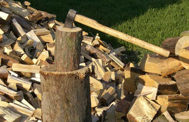 В Украине стало проще купить дрова: как сделать заказ