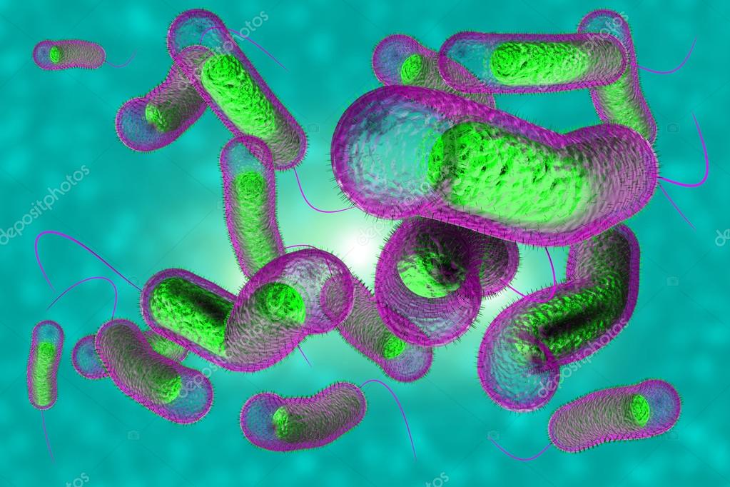Холерная палочка в Киеве: КГГА обратилась к горожанам с заявлением