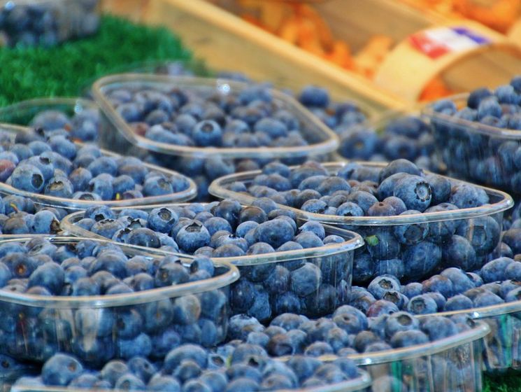 В Украине начался сезон голубики: за сколько продают первые ягоды на рынках