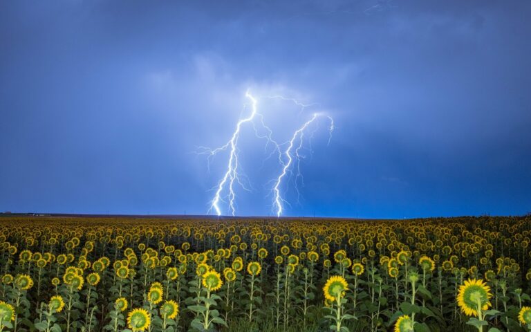 Грози, зливи та град: синоптики розповіли, якою буде погода в Україні на початку літа - today.ua