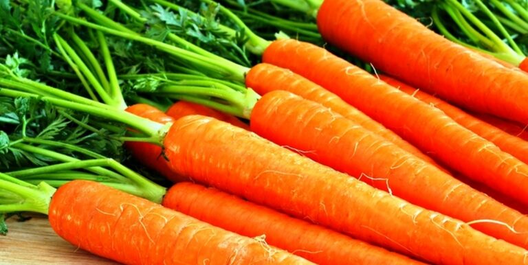 Как вернуть вялой моркови свежий вид: секретный ингредиент, о котором не знают даже опытные хозяйки - today.ua