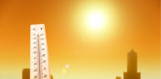 Аномальный февраль: в Украине спрогнозировали рекордную жару в последний месяц зимы  - today.ua