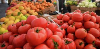 В Украине обвалились цены на помидоры из-за импорта на фоне войны - today.ua