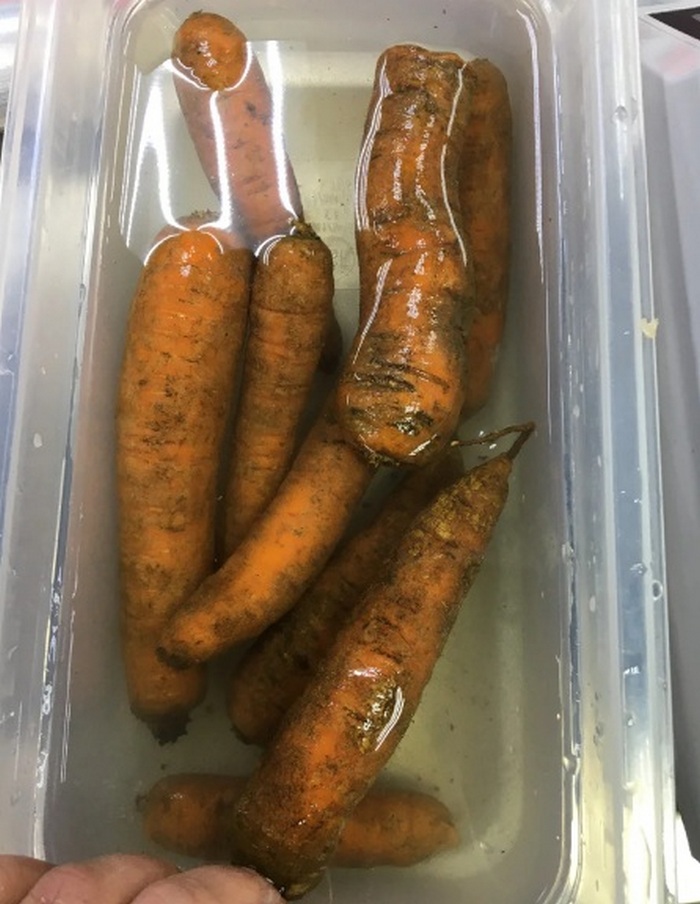 Як повернути в'ялій моркві свіжий вигляд: секретний інгредієнт, про який не знають навіть досвідчені господарки