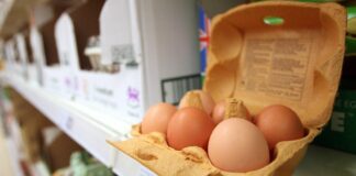 Где дешевле: украинские супермаркеты обновили цены на яйца - today.ua