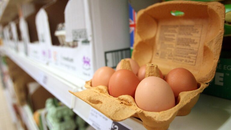 Де дешевше: українські супермаркети оновили ціни на яйця - today.ua