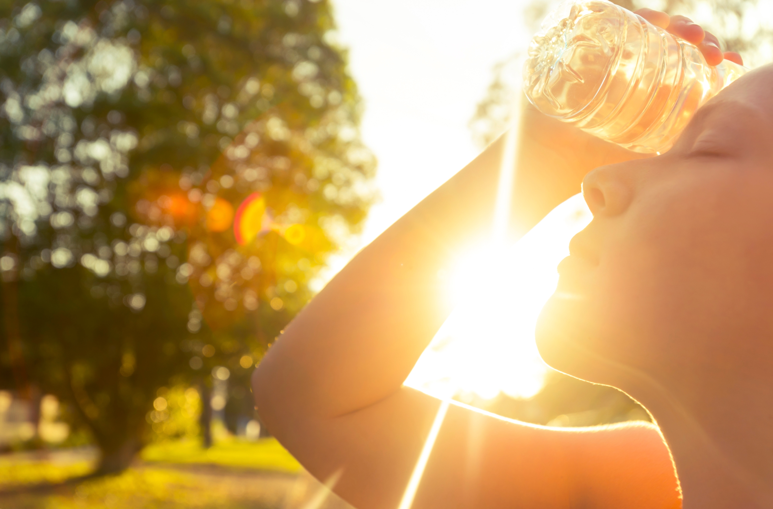 Украину в конце июня накроет адская жара до +34 градусов: синоптики назвали опасные даты