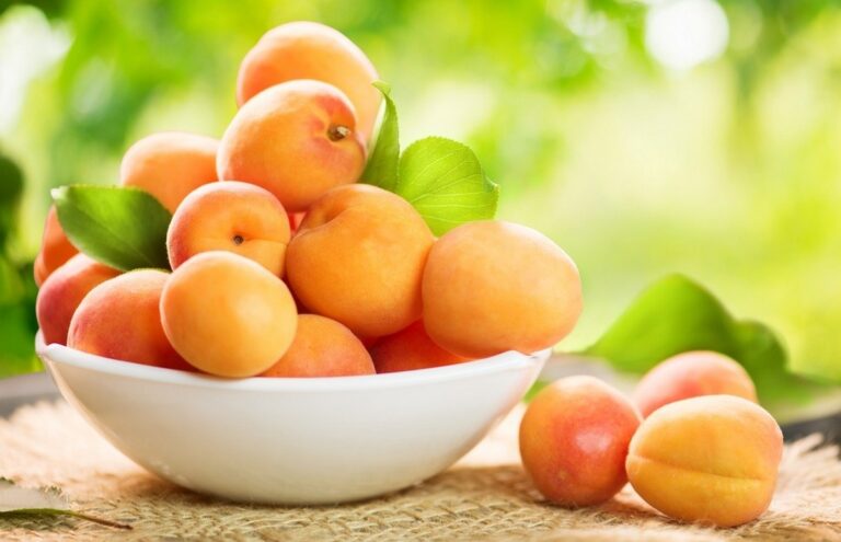Медики розповіли, кому не можна їсти абрикоси - today.ua