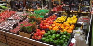 Українські супермаркети змінили ціни на овочі: скільки коштують капуста, огірки та помідори - today.ua