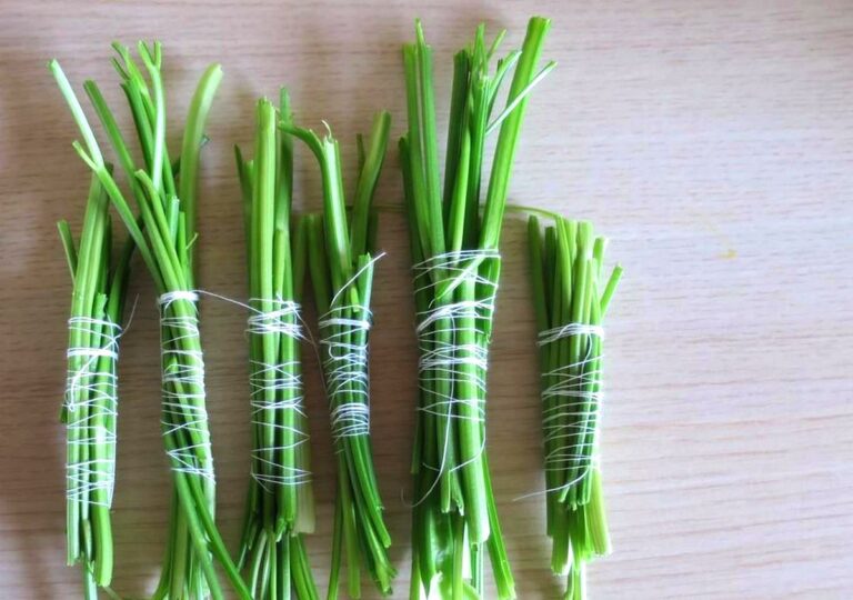 Не выбрасывайте “ножки“ от зелени: 5 оригинальных способов использовать стебли в кулинарии - today.ua