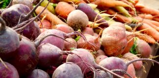 В Украине подешевели некоторые овощи: как изменились цены на картофель, свеклу и огурцы в конце июля - today.ua