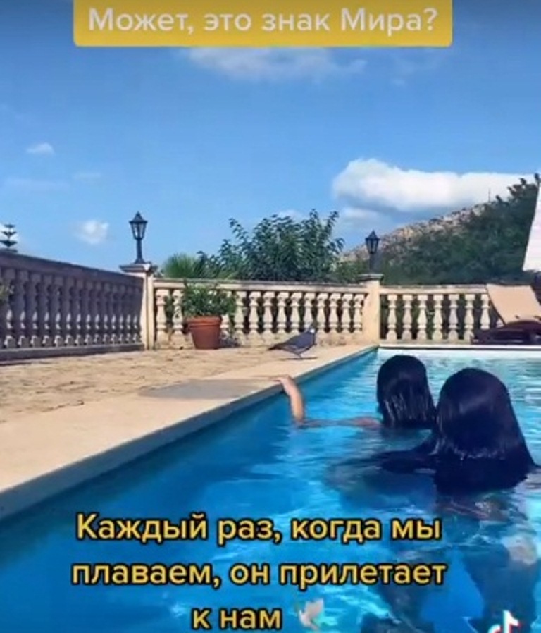 Повезло мужу-миллиардеру: Камалия показала роскошную фигуру в ярком бикини на пляже 