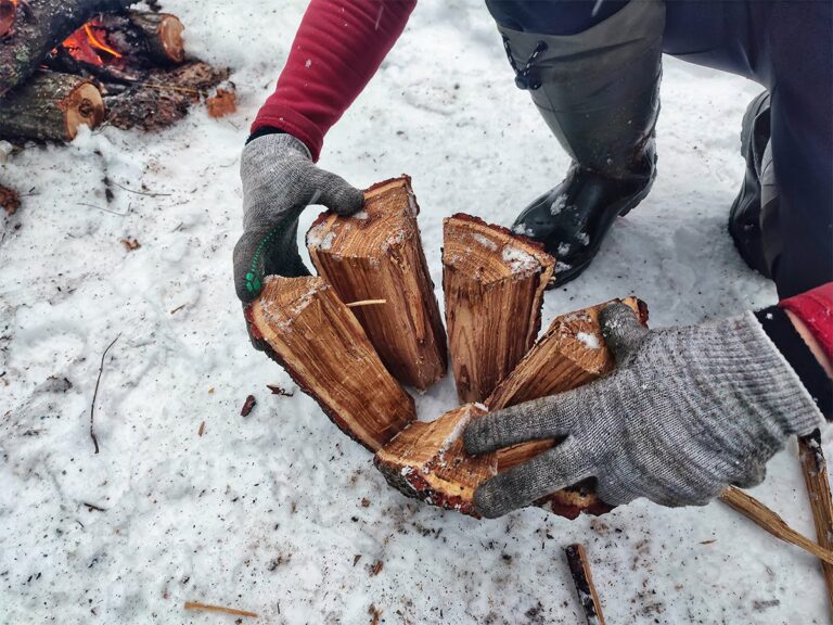 Найскладніший опалювальний сезон в Україні: де, як та за скільки можна купити дрова - today.ua