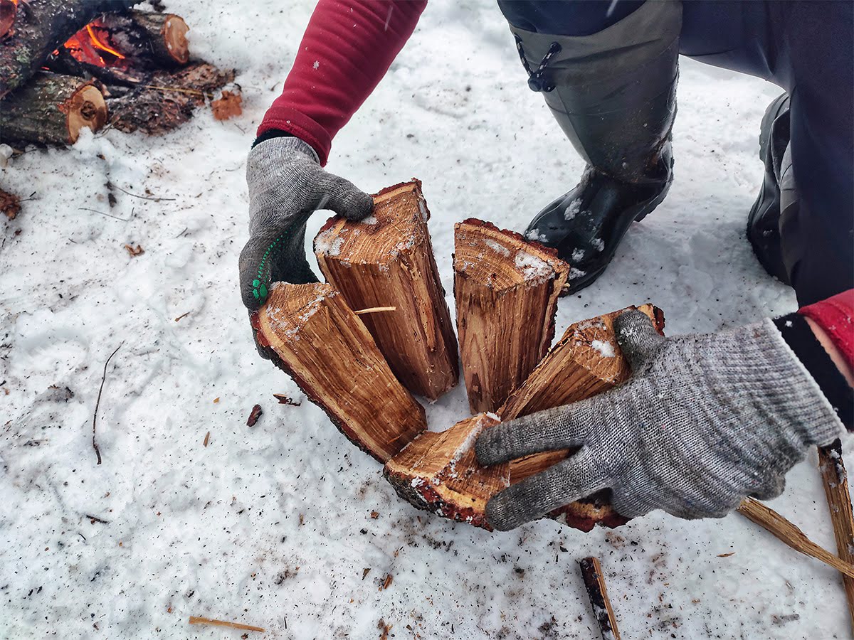 Українці почали отримувати безкоштовні дрова: як оформити допомогу в умовах блекауту