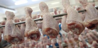 Ціни на курятину зросли до рекордного рівня: скільки коштує м'ясо в українських супермаркетах - today.ua