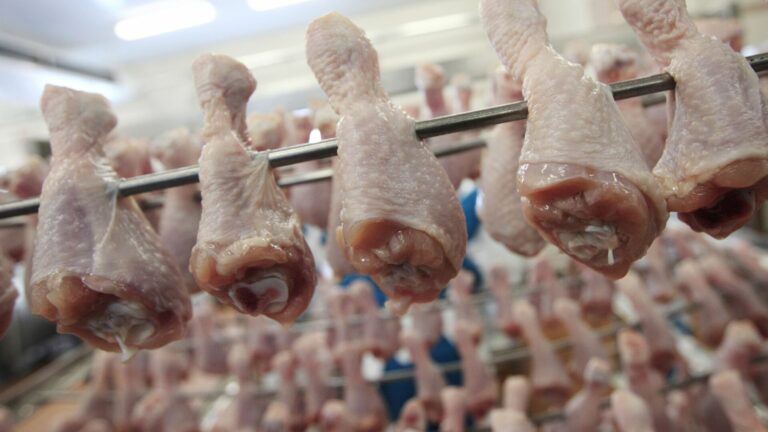 Цены на курятину выросли до рекордного уровня: сколько стоит мясо в украинских супермаркетах - today.ua