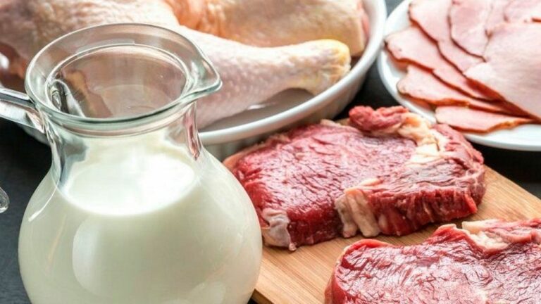 В Украине до конца лета изменятся цены на мясо, овощи и молоко: какие продукты подешевеют - today.ua