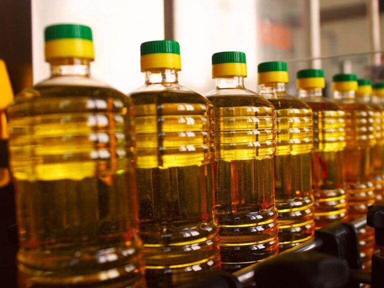 В Украине изменились цены на подсолнечное масло: какая стоимость в супермаркетах - today.ua