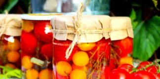 Консервовані помідори черрі: рецепт із секретним маринадом від Євгена Клопотенко - today.ua