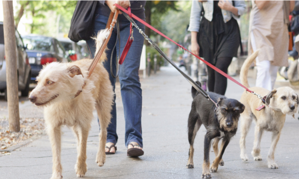 Подработка на лето: сколько платят украинским беженцам в Чехии, и какие вакансии открыты