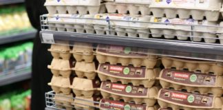 Украинские супермаркеты обновили цены на яйца и молоко: где дешевле купить популярные продукты - today.ua