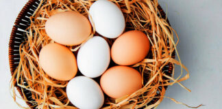 Что сделать с яйцами перед варкой, чтобы они не треснули - today.ua
