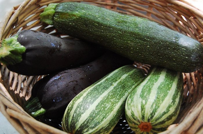 Свежие кабачки до зимы: как продлить срок хранения овощей дома