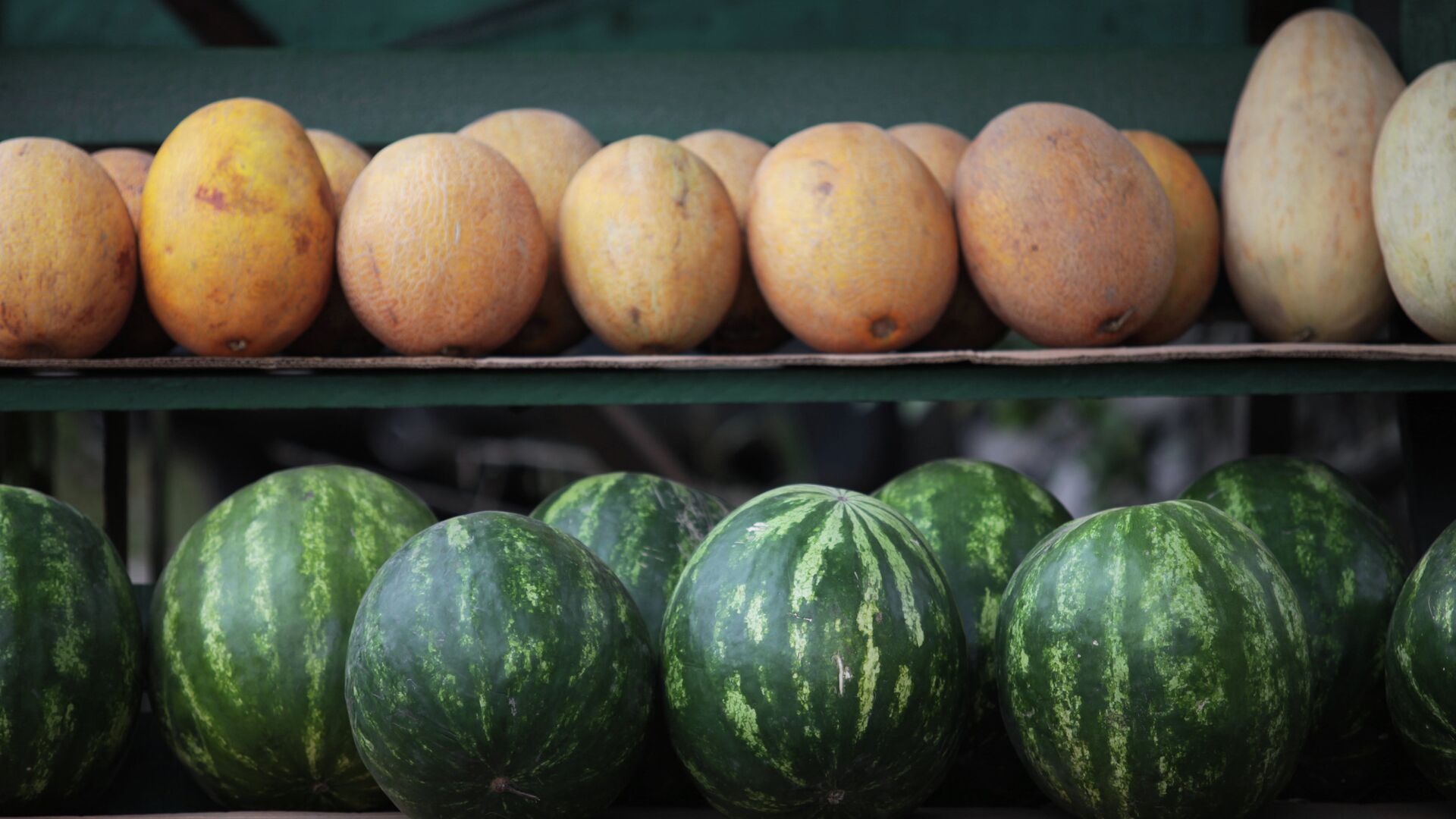Арбузы и дыни в разгар сезона не дешевеют: украинские супермаркеты показали свежие цены на бахчевые