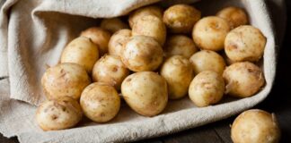 Не только вареная в мундирах: как вкусно приготовить молодую картошку на ужин - today.ua