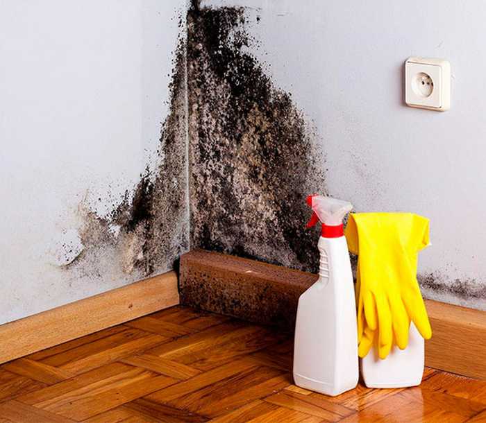 Дешевый способ избавиться от плесени на стенах - 4 копеечных средства, которые есть почти в каждом доме