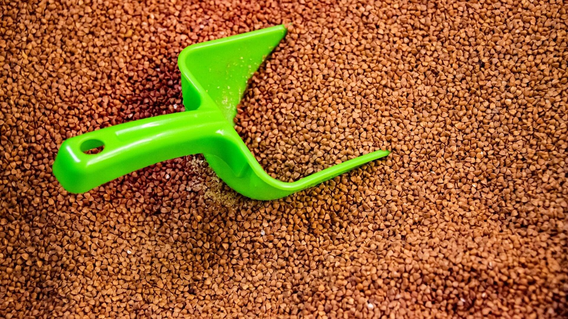 В Украине подорожали гречка и рис: как изменилась стоимость круп в популярных супермаркетах