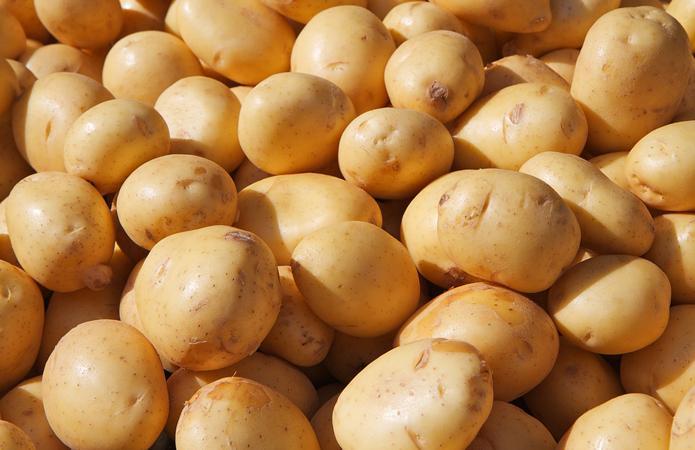 В Украине упали цены на картошку: как изменилась стоимость овоща в супермаркетах - today.ua