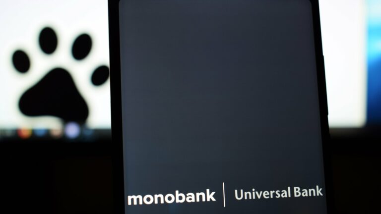 Monobank запустил продажу валюты клиентам под депозит: названы сроки и лимиты - today.ua