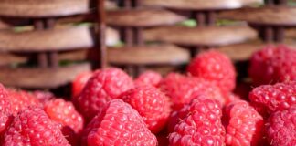 В Украине обвалились цены на малину: сколько стоит ягода на рынках в начале августа - today.ua