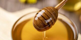 Как отличить натуральный мед от фальсификата: простые советы от опытных пчеловодов - today.ua