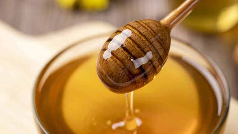 Как отличить натуральный мед от фальсификата: простые советы от опытных пчеловодов - today.ua