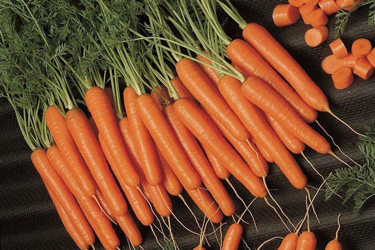 На ринку стрімко змінюються ціни на моркву