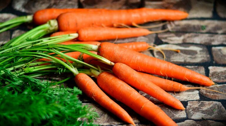 На рынке стремительно меняются цены на морковь - today.ua