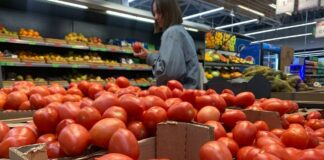 В Украине подешевели помидоры: сколько стоят овощи в супермаркетах в конце лета - today.ua