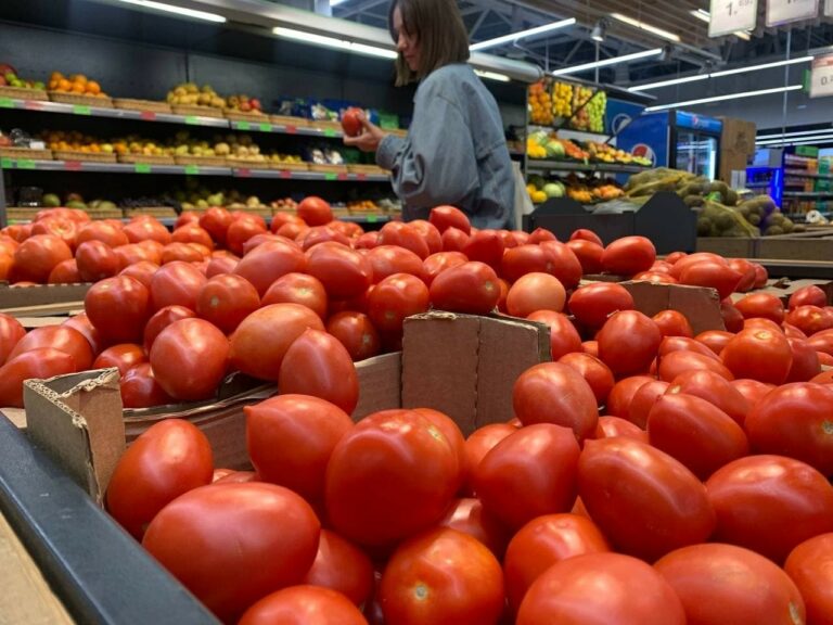 В Україні подешевшали помідори: скільки коштують овочі в супермаркетах наприкінці літа - today.ua