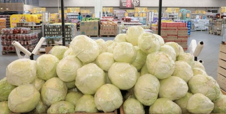 В Україні подешевшала капуста: скільки коштує овоч у супермаркетах та на базарах - today.ua