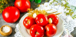 Квашені помідори без оцту: як приготувати смачну закуску по простому рецепту    - today.ua