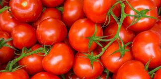 Максимально свежие и полезные: консервированные помидоры без уксуса, соли и сахара - today.ua