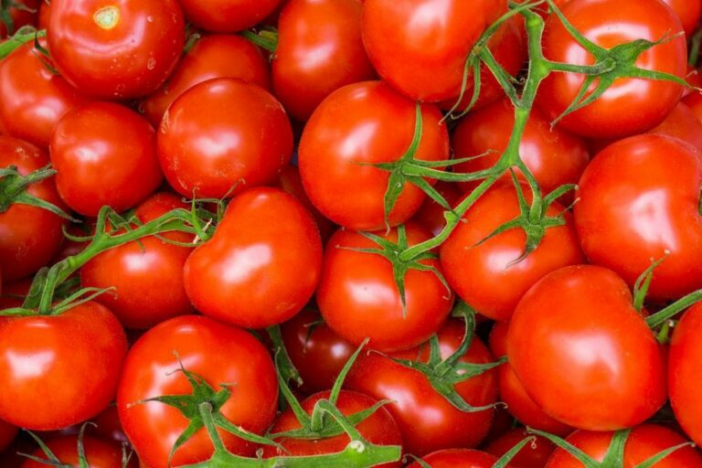 Максимально свежие и полезные: консервированные помидоры без уксуса, соли и сахара - today.ua