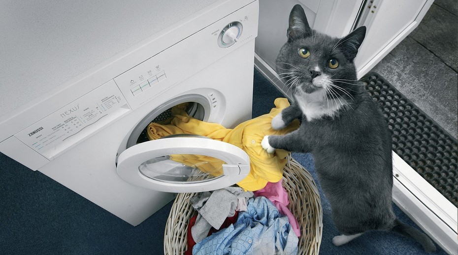Навіщо класти у пральну машинку губку для посуду: досвідчені господині поділилися корисним лайфхаком