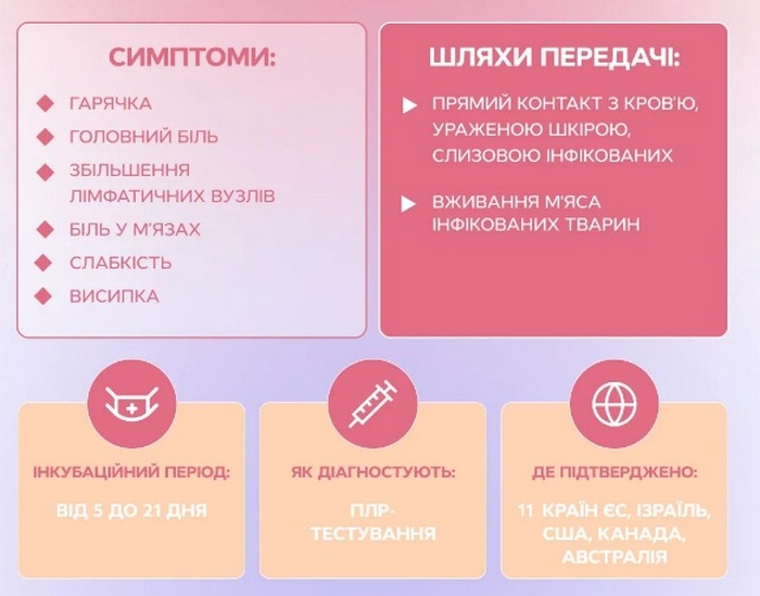 Мавпяча віспа: названо найголовніший симптом, який спостерігається у більшості пацієнтів