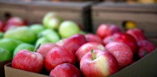 В Украине подскочили цены на яблоки: какая стоимость фруктов в супермаркетах - today.ua