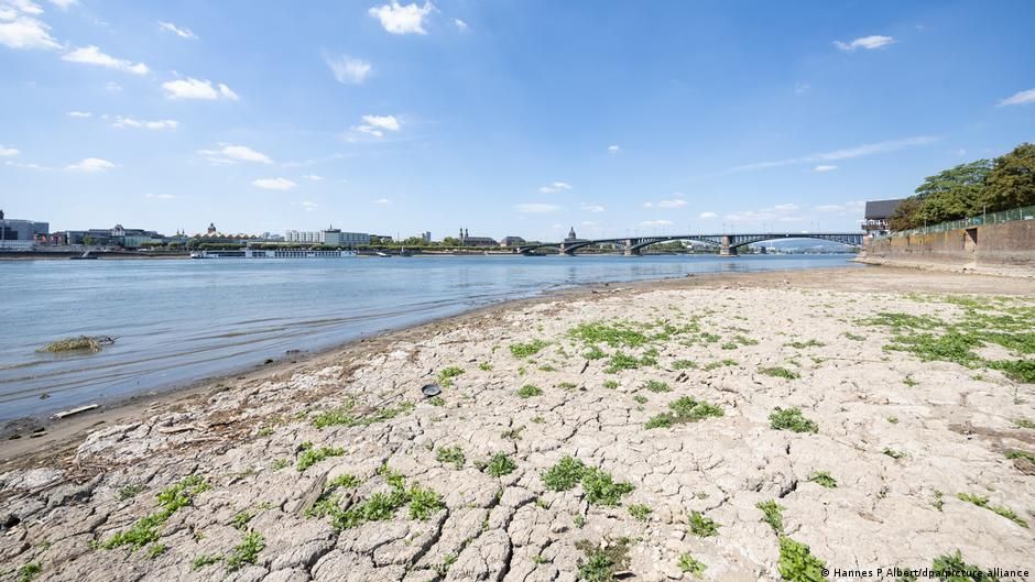 Продовольство з України масово піде на експорт: у Мережі з'явилися шокуючі кадри посухи в Європі - today.ua