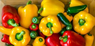 В Украине подешевели овощи: как изменились цены на помидоры, перец и чеснок в сентябре - today.ua